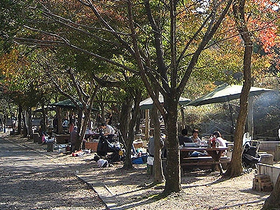 昭和の森バーベキュー場